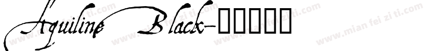 Aquiline Black字体转换